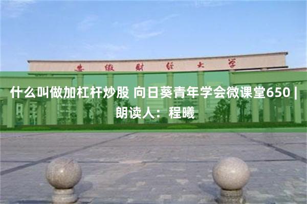 什么叫做加杠杆炒股 向日葵青年学会微课堂650 | 朗读人：程曦