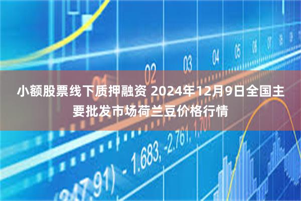 小额股票线下质押融资 2024年12月9日全国主要批发市场荷兰豆价格行情