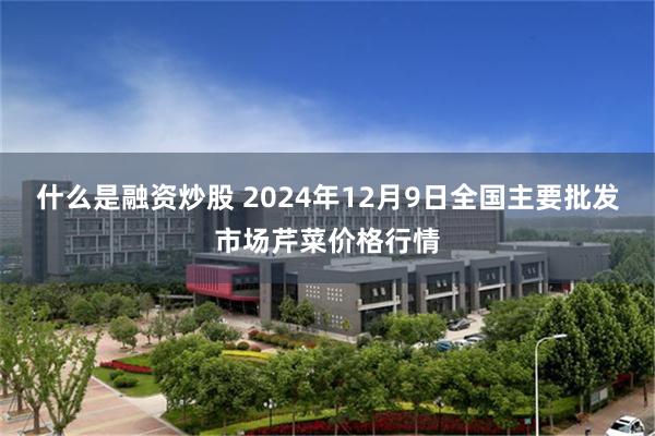 什么是融资炒股 2024年12月9日全国主要批发市场芹菜价格行情