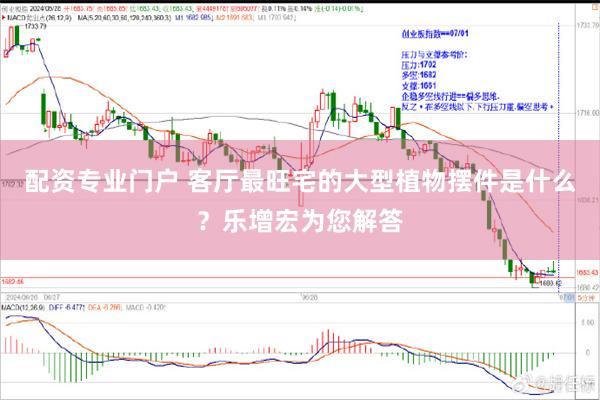 配资专业门户 客厅最旺宅的大型植物摆件是什么？乐增宏为您解答