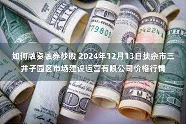 如何融资融券炒股 2024年12月13日扶余市三井子园区市场建设运营有限公司价格行情