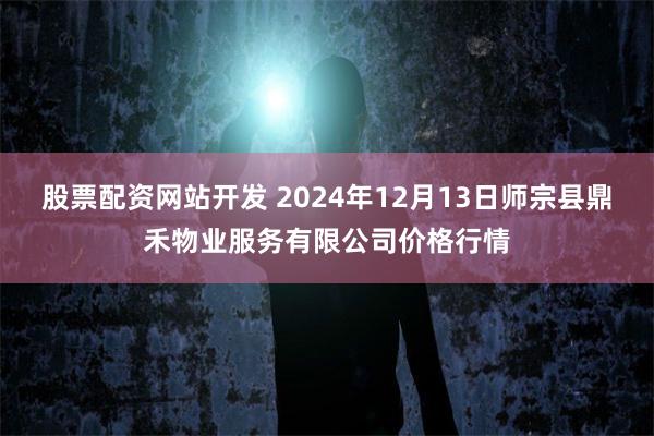 股票配资网站开发 2024年12月13日师宗县鼎禾物业服务有限公司价格行情