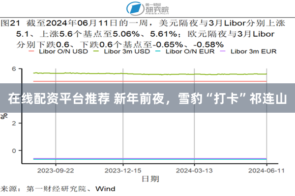 在线配资平台推荐 新年前夜，雪豹“打卡”祁连山