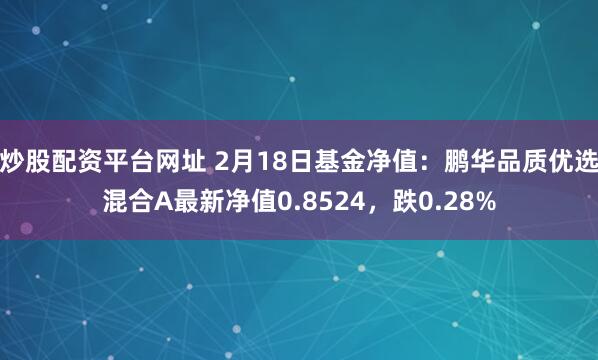 炒股配资平台网址 2月18日基金净值：鹏华品质优选混合A最新净值0.8524，跌0.28%