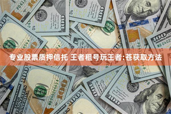 专业股票质押信托 王者租号玩王者:苍获取方法