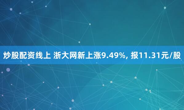 炒股配资线上 浙大网新上涨9.49%, 报11.31元/股